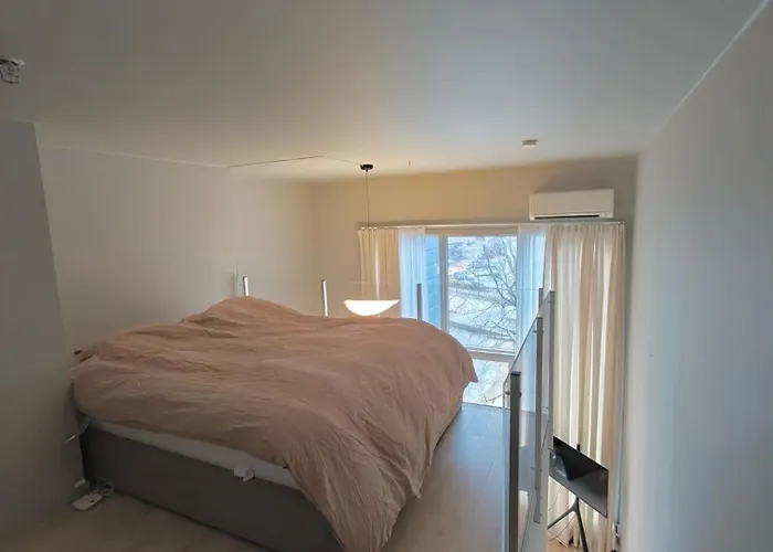 Downtown With Balcony Apartment